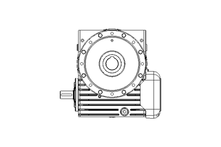 Worm Gear