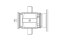 WORM GEAR