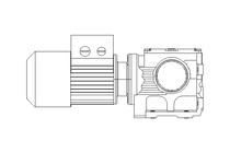 Worm gear motor 0.25kW 9.5 1/min