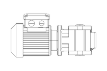 螺杆齿轮速电机 0,25kW 199 1/min