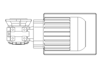 Helical-worm gear asynchronous motor