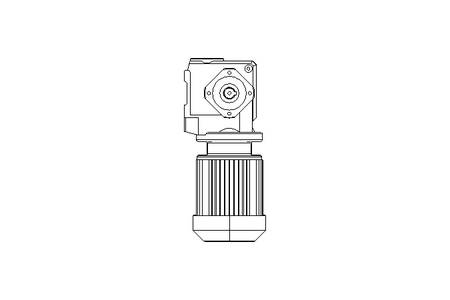 Motor engrenagem sem fim 0,25kW 205