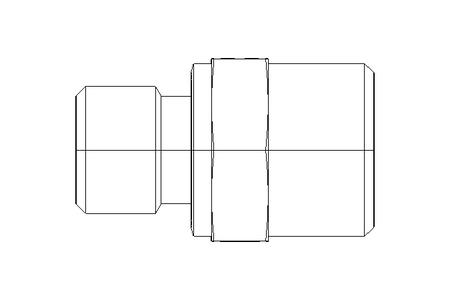 Conexão roscada de tubo L 12 G1/4" Niro