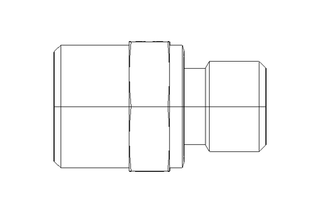 Conexão roscada de tubo L 12 G1/4" Niro