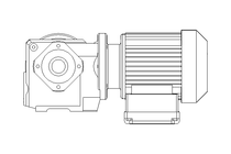 Worm gear motor 0.25kW 30 1/min