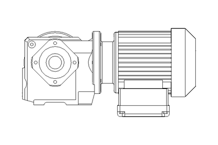 螺杆齿轮速电机 0,25kW 30 1/min