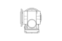 螺杆齿轮速电机 0,25kW 30 1/min