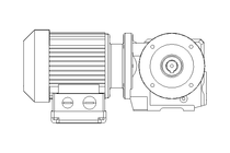 螺杆齿轮速电机 0,25kW 30 1/min