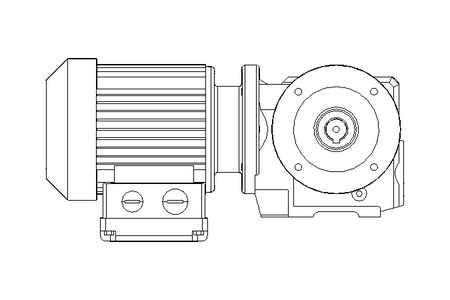 螺杆齿轮速电机 0,25kW 30 1/min