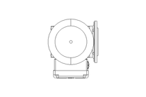 螺杆齿轮速电机 0,25kW 30 1/min