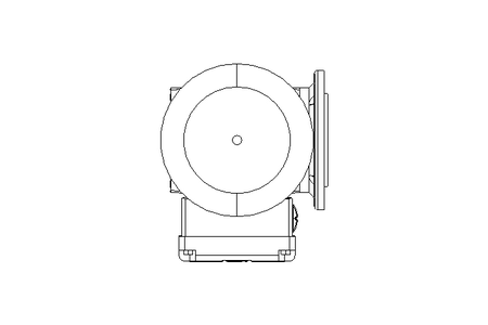 螺杆齿轮速电机 0,25kW 30 1/min