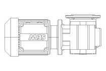 螺杆齿轮速电机 0,25kW 30 1/min