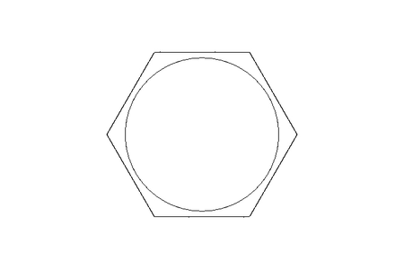 Hexagon cap nut M20 A2 DIN1587