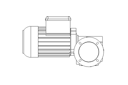 Motor engrenagem sem fim 0,37kW 100