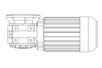 Worm gear motor 0.37kW 72 1/min