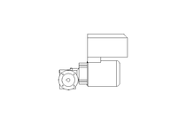 WORM GEAR MOTOR