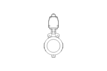 Buttterfly valve DN150 PN10 AA 14-850