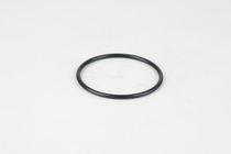 O-RING EPDM  FOR PLATE  502.0250.2641