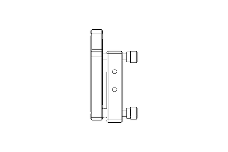 PLATE/DISK MIRROR MOUNTS