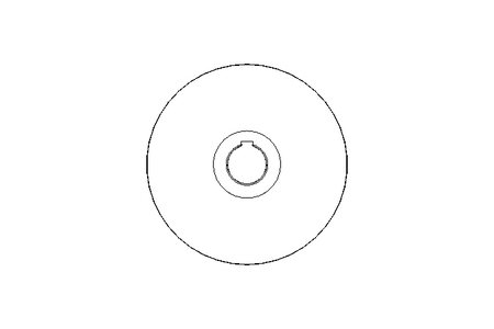 Roda de corrente TRACTOTHAN