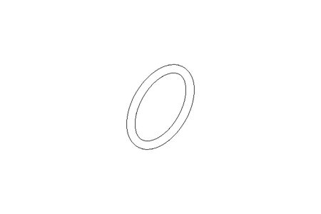 Anel de vedação O-Ring 19x2 FPM
