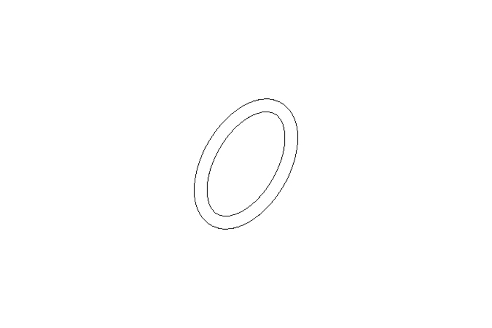 O-ring 19x2 FPM