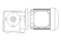 Worm gear motor 0.25kW 199 1/min