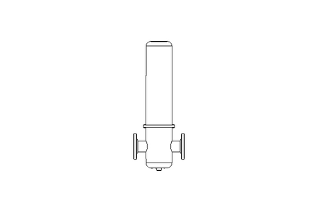 Dampf-Filtergehäuse DN40