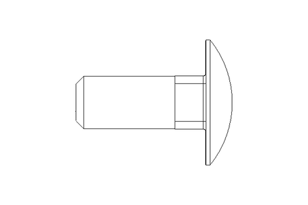 Round head screw M10x25 A2 DIN603