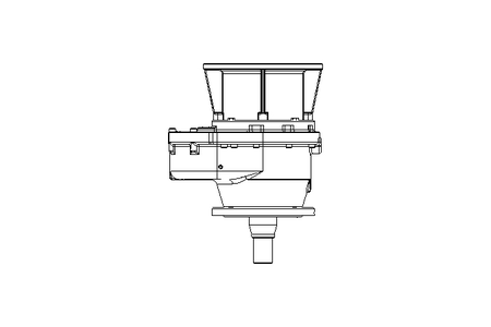 Spur gear