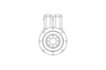 GEAR MOTOR