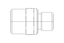 Raccordo a vite L 12 R1/4" Niro DIN2353