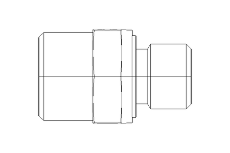 Raccordo a vite L 12 R1/4" Niro DIN2353