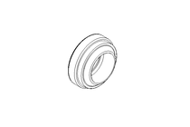 Wiper ring WSW 6x10x4 PUR