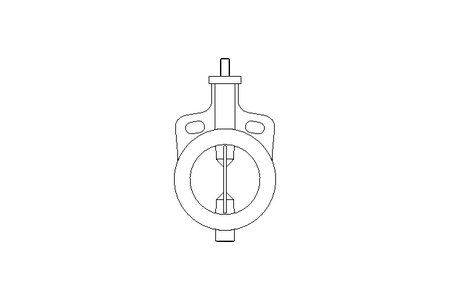 Absperrklappe DN125 PN16