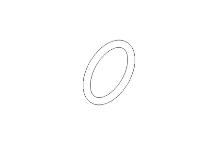 O-Ring 1" für Liquiphant EPDM