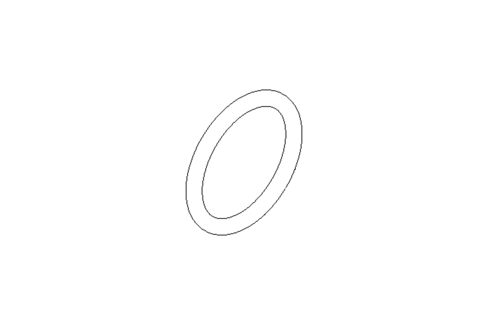 O-Ring 1