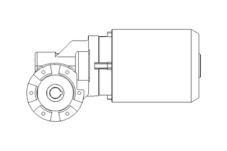 Worm gear motor 0.55kW 56 1/min