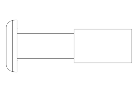 Rivet aveugle 4,8x24,4