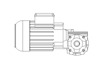 Worm gear motor 0.55kW 74 1/min