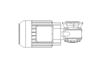 Worm gear motor 0.55kW 104 1/min