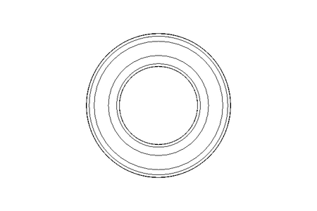 Cuscin.scanalato a sfera 6006 2RS 30x55