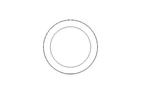 SEALING RING DN25  DIN 11851    VMQ