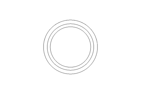 SEALING RING DN25  DIN 11851    VMQ