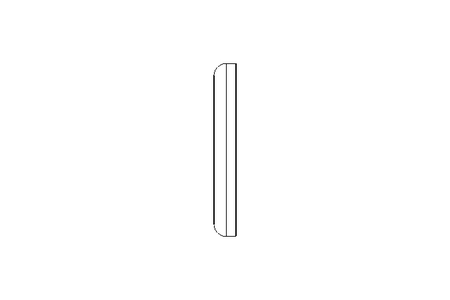 SEALING RING DN25  DIN 11851    VMQ