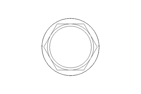 Stopfen GPN1000/1079 SW=36