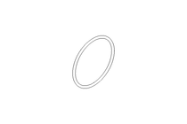 O-ring 113.67x5.33 Fluoroprene