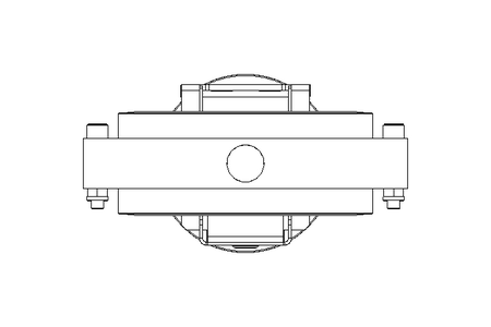 Scheibenventil B DN100 OVO AA E