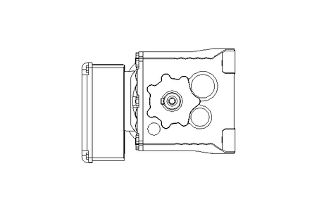 Motorreductor coaxial 0,37kW 29 1/min