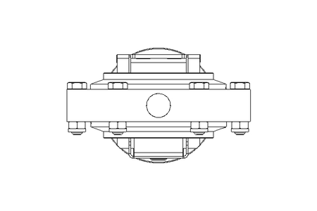 Butterfly valve B DN080 WVW AA E